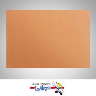 papeles bond 65x45cm colores vivos